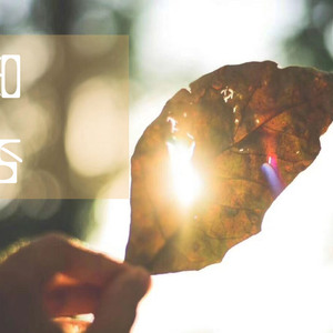 千仞雪被操哭视频
