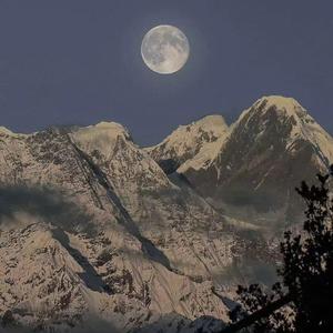 千仞雪被操哭视频
